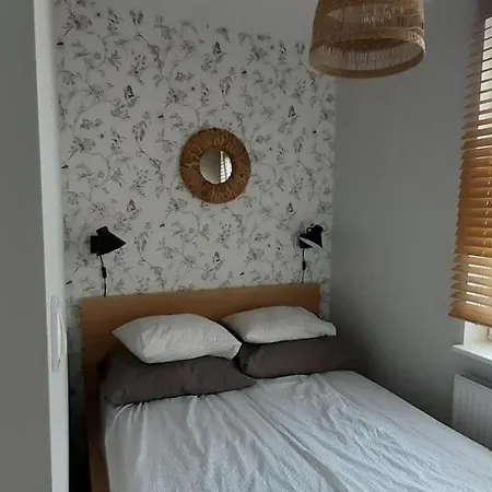 Oasis, Old Town Apartment Elbląg Zewnętrze zdjęcie